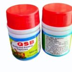 QSB